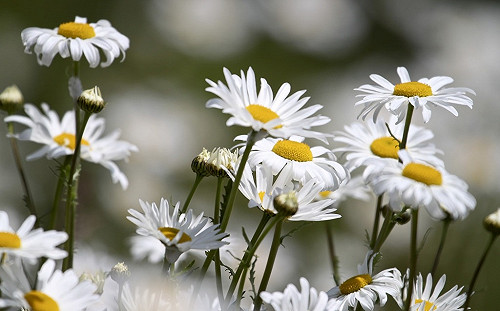 水氣退散天氣轉乾！中南部空品亮橘燈