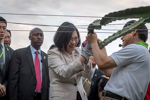 肯定替代役男願到史瓦濟蘭貢獻 小英：對未來發展有幫助