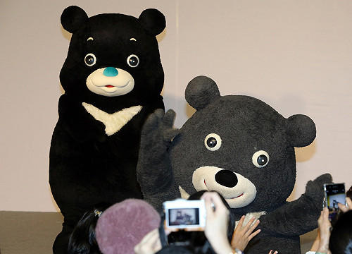 新造型熊讚海洋色鼻 多了白眉毛