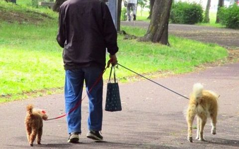 毛小孩外出未繫繩  小心吃上15萬罰款！