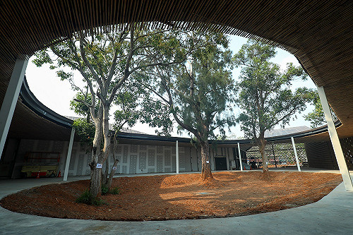 花博森林區老樹全保留 體驗與樹對話