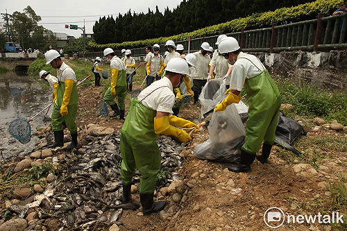 敬鵬災後溪河污染   清理魚屍近30噸