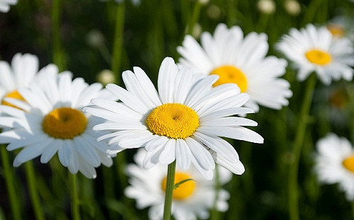 鋒面遠離逐漸回暖 中南部風速弱空品較差