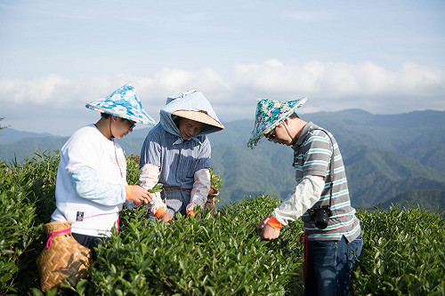 新北「來去農家DO一日」提供農村特色體驗