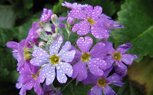 雨勢趨緩！北台灣留意早晚涼冷天氣