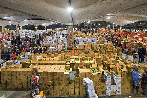 菜價跌農民苦  北農中秋僅可休兩天