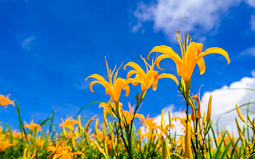 高溫小心熱傷害！山區留意午後雷陣雨