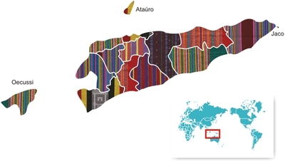 兩大黨鬧僵  東帝汶10個月內大選兩次