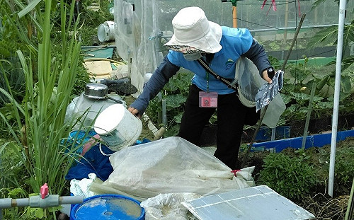 大雨過後登革熱蚊蟲恐增！衛生局籲速清積水