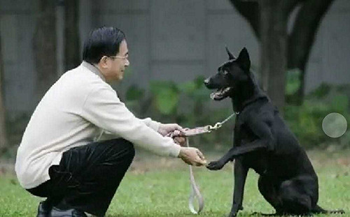 陳水扁：柯文哲今非昔比  沒能耐脫褲圍海