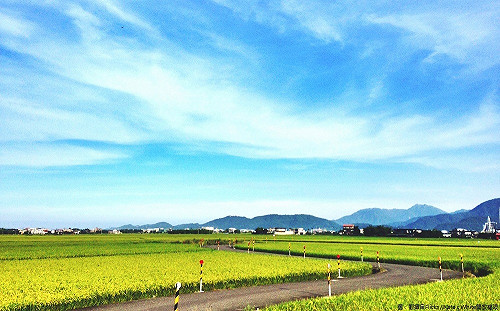 串連冬山景點鐵馬行！漫遊伯朗大道正流行