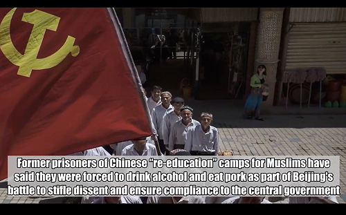 踐踏宗教信仰  中國逼穆斯林吃豬肉喝酒