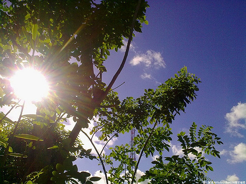 快訊》用電量再創新高！今13時突破3600萬瓩