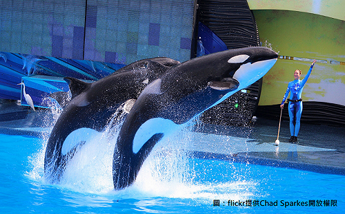 動物展演未經核准 將罰最高25萬元