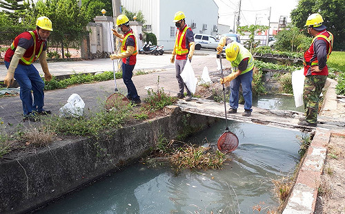 灌溉溝渠汙染驚見死魚百條  環保局：抓到一定重罰