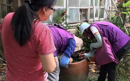 登革熱北市境外移入群聚首例  台大宿舍緊急消毒
