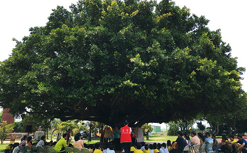 正聲雙琴林童樂會 帶偏鄉童走入古典樂世界