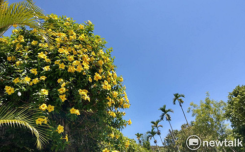 熱烘烘 台北台中板橋金門5月高溫創新高