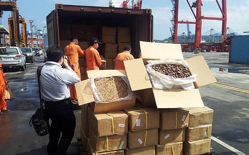 貨輪走私900公斤中國香菇 高雄港逮6人