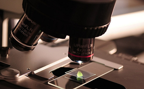 高手齊聚學術研究頒獎典禮  科技部：激勵國人科研不懈怠