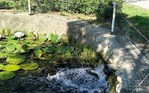 台中市首例  休閒公園引綠川水活化再造