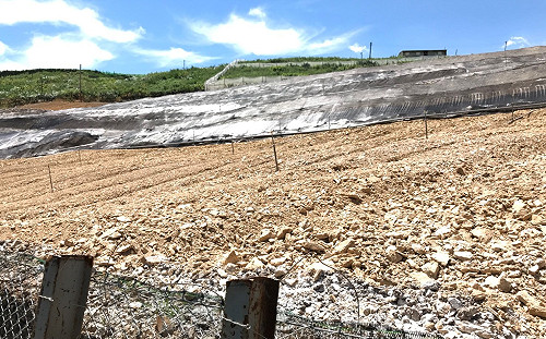 和平梨山菜園違法開發 中市府裁罰並限期改善