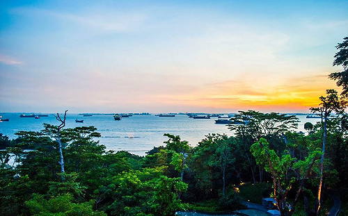 川金會場  殺戮戰場翻生人間樂園的聖淘沙