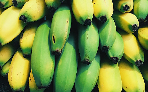 香蕉頭尾綠色是加致癌催熟劑？食藥署：那是自然的啦！
