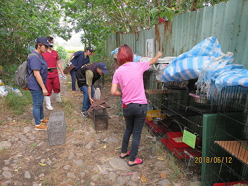 飼主無力飼養23頭貓犬瀕危 動保處緊急安置收容