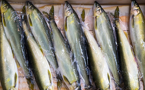 夏日食物保存法！這5招讓你享美食不卡卡