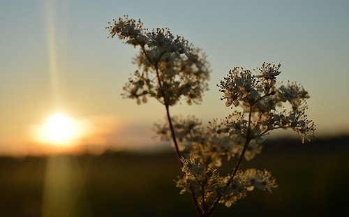 北台高溫上看35度！午後留意強降雨發生