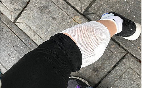 北市籲華江橋河濱勿餵食  避免犬咬及群聚