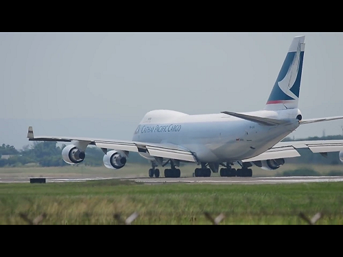 瑪莉亞來襲！國內外航班取最新異動看這裡