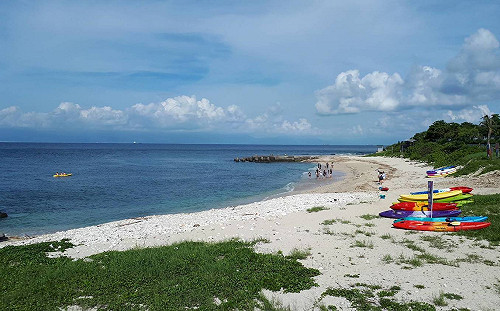 團結力量大！豪雨摧殘志工聯手再現小琉球原始美景