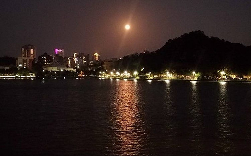 下班不耍廢來看花苞煙火！碧湖公園穗花棋盤腳夜正美