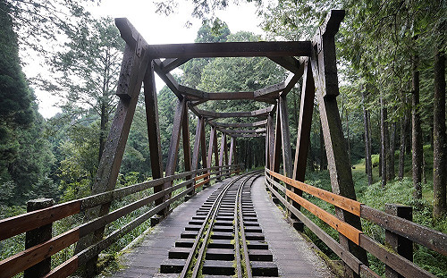 百年阿里山森鐵新里程！4大秘境鐵道旅遊搶先玩