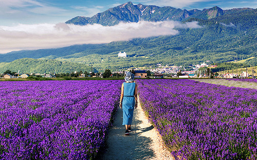 悶熱感秒解鎖的避暑天堂！帶你到日本東北3大必玩消暑勝地