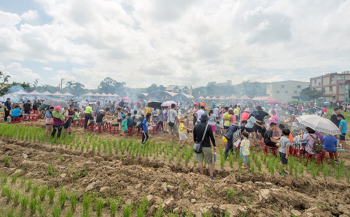 千人下田體驗客庄農作 親子齊動手「學做客、學做農」