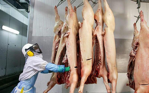 中美貿易戰犧牲品 美國肉品滯銷破紀錄囤11億公斤