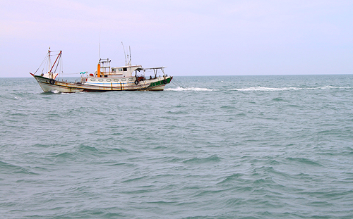 別偷撈我的魚! 南韓打擊非法捕撈 希望中國別越界