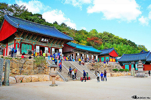 中國報復無效？市場多樣化 南韓旅客上半年不減反增