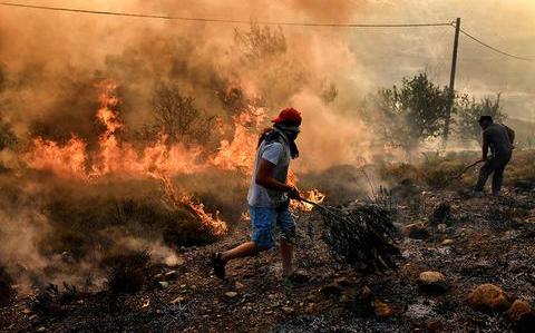 歐洲熱浪來襲野火奪命 希臘增至50死170傷