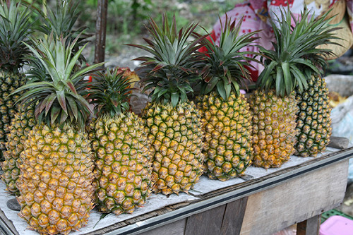 台東鳳梨銷陸500公噸  黃健庭：都上架銷售