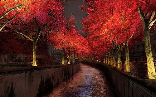 媲美加拿大楓林等級！邀自由女神設計師打造新河畔光廊