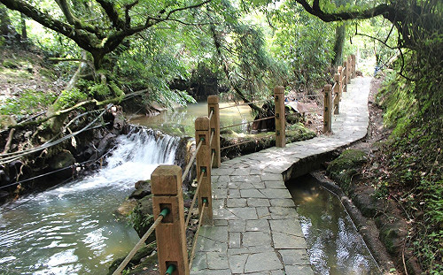 父親節最佳孝親禮！北市6大避暑緩坡步道走出健康