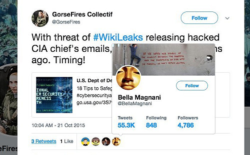 網路現世報  維基揭密萬筆群組文件遭公開