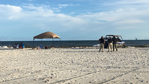 去美多芬島游泳傳噩耗！台籍父子1死1失蹤