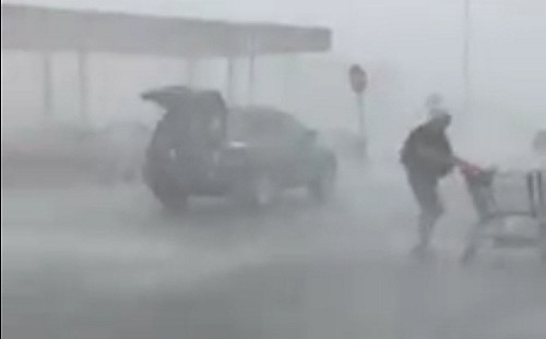 地表最強阿嬤 美國老奶奶暴雨中還推車 數百萬人按讚 (影)