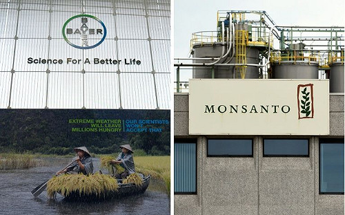 孟山都除草劑疑致癌 美陪審團判賠夫妻640億元