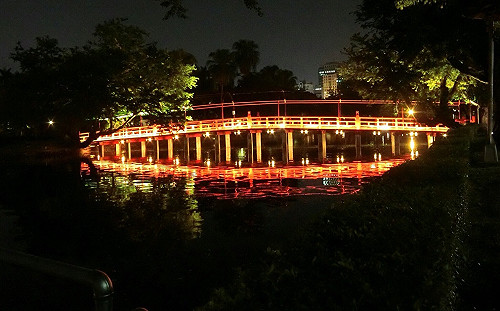 今晚最浪漫！七夕到台中公園享受綺麗環湖夜色